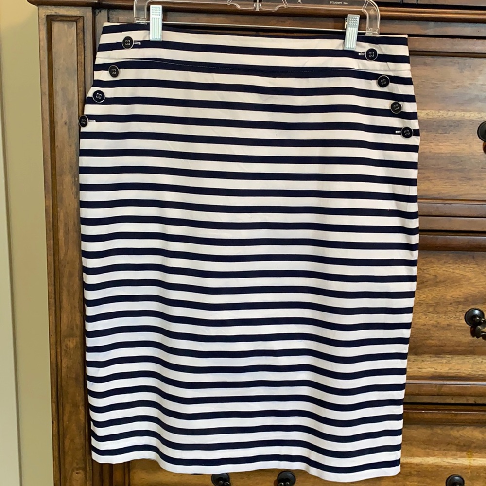 Blurts & White Nautical Theme Skirt